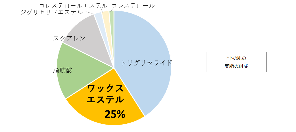 サラヤ｜「ホホバオイル」ってご存じですか？