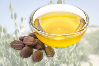 「ホホバオイル」ってご存じですか？
