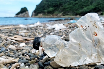 “脱プラ”への取り組みをはじめています