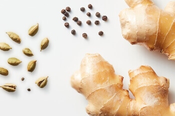 薬学の視点から見るジンジャーエール