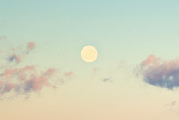 秋の食材＋αで、内側から健やかな素肌へ