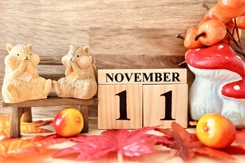 【2025年11月】お待たせしました「ラカントフェア」開催中!