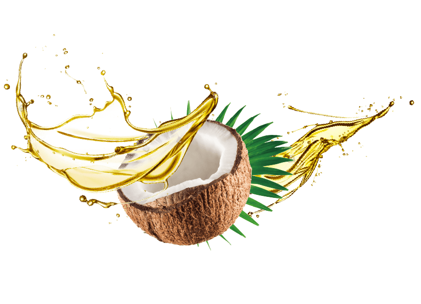 ココナッツうまれの、やさしいアミノ酸系洗浄成分