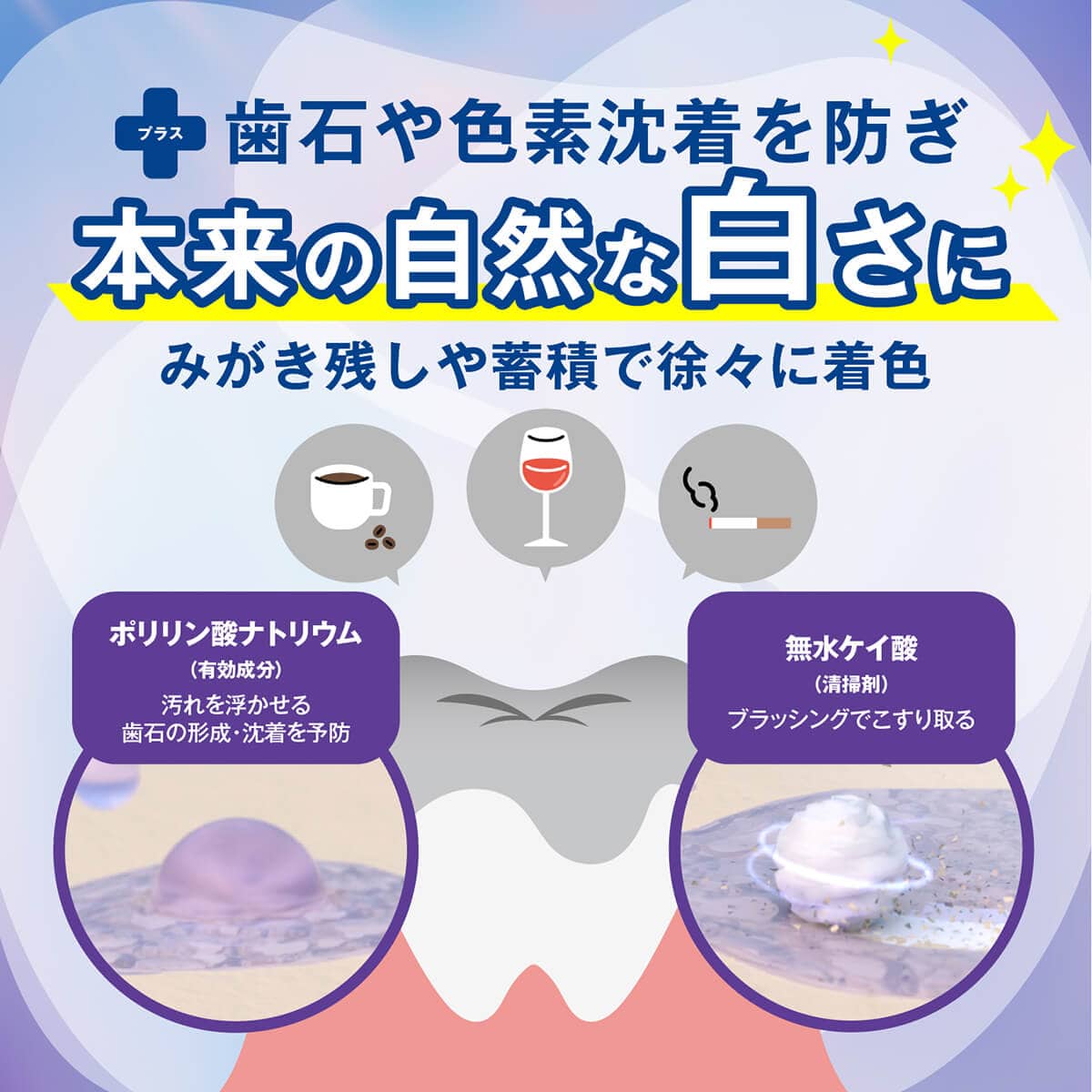 クルクリン PGガード 美白ケアプラスペースト 80g 【医薬部外品】