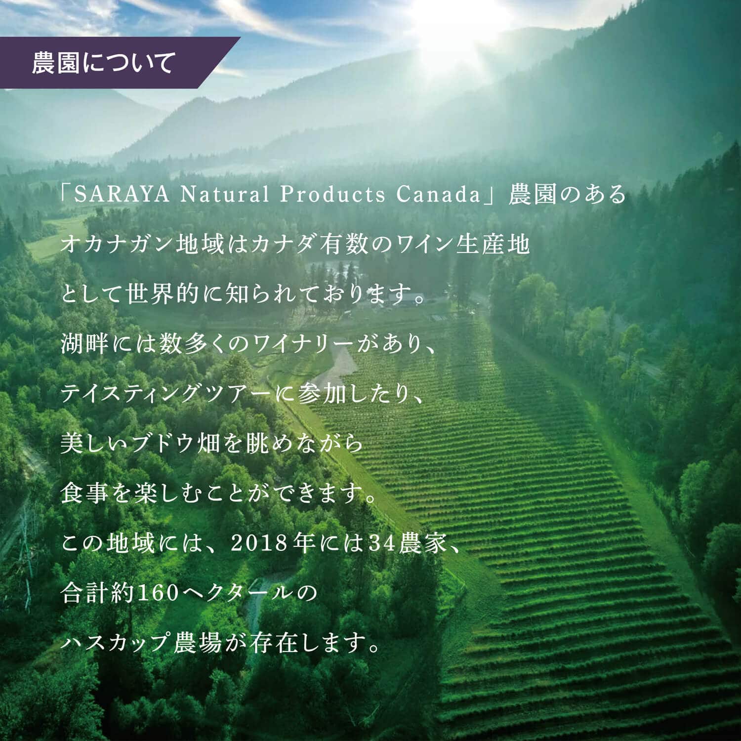 ララアビス ハスカップワイン Rara Avis 750mL