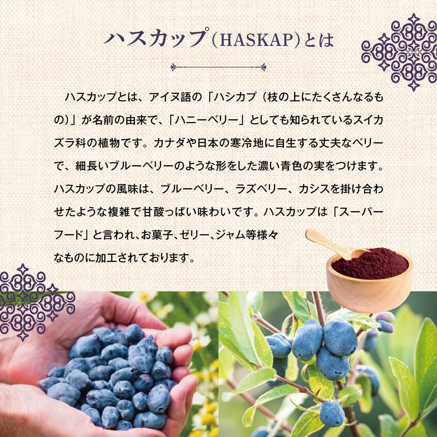 ララアビス ハスカップワイン Rara Avis 750mL