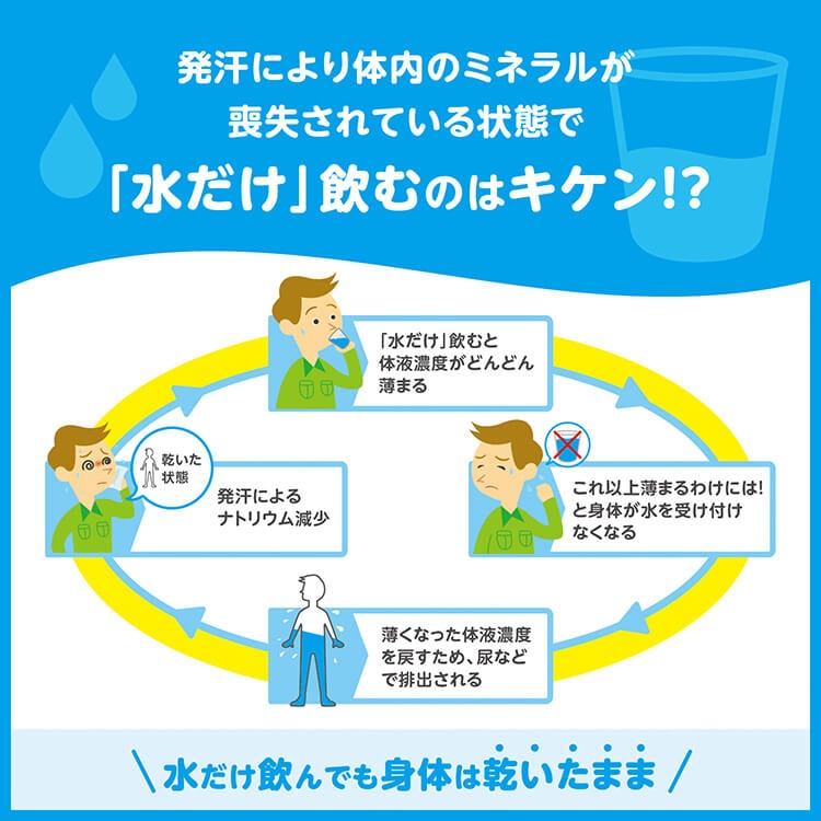 匠のオアシスエイド500mL グレープフルーツ風味