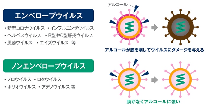 ノンエンベロープウイルスとエンベロープウイルス