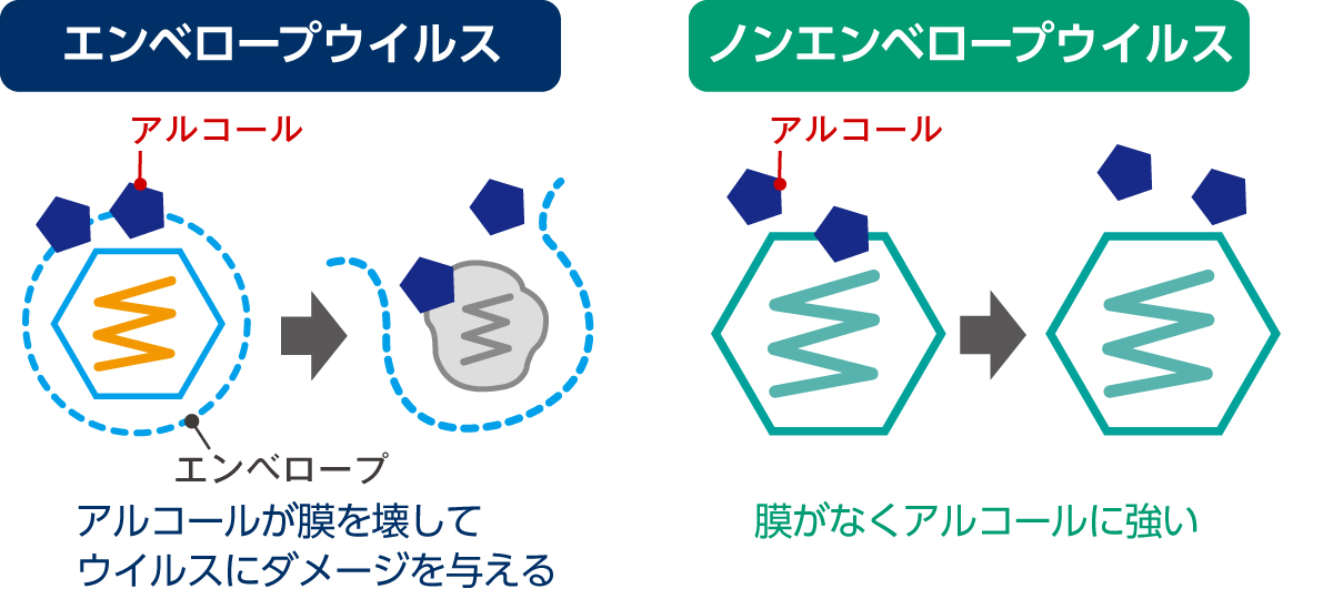 ノンエンベロープウイルスとエンベロープウイルス