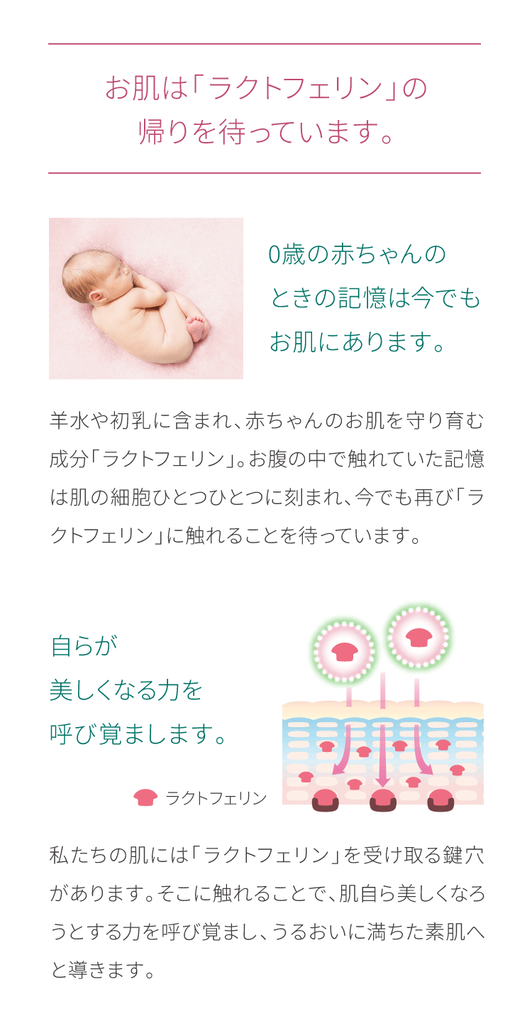 お肌は「ラクトフェリン」の帰りを待っています。