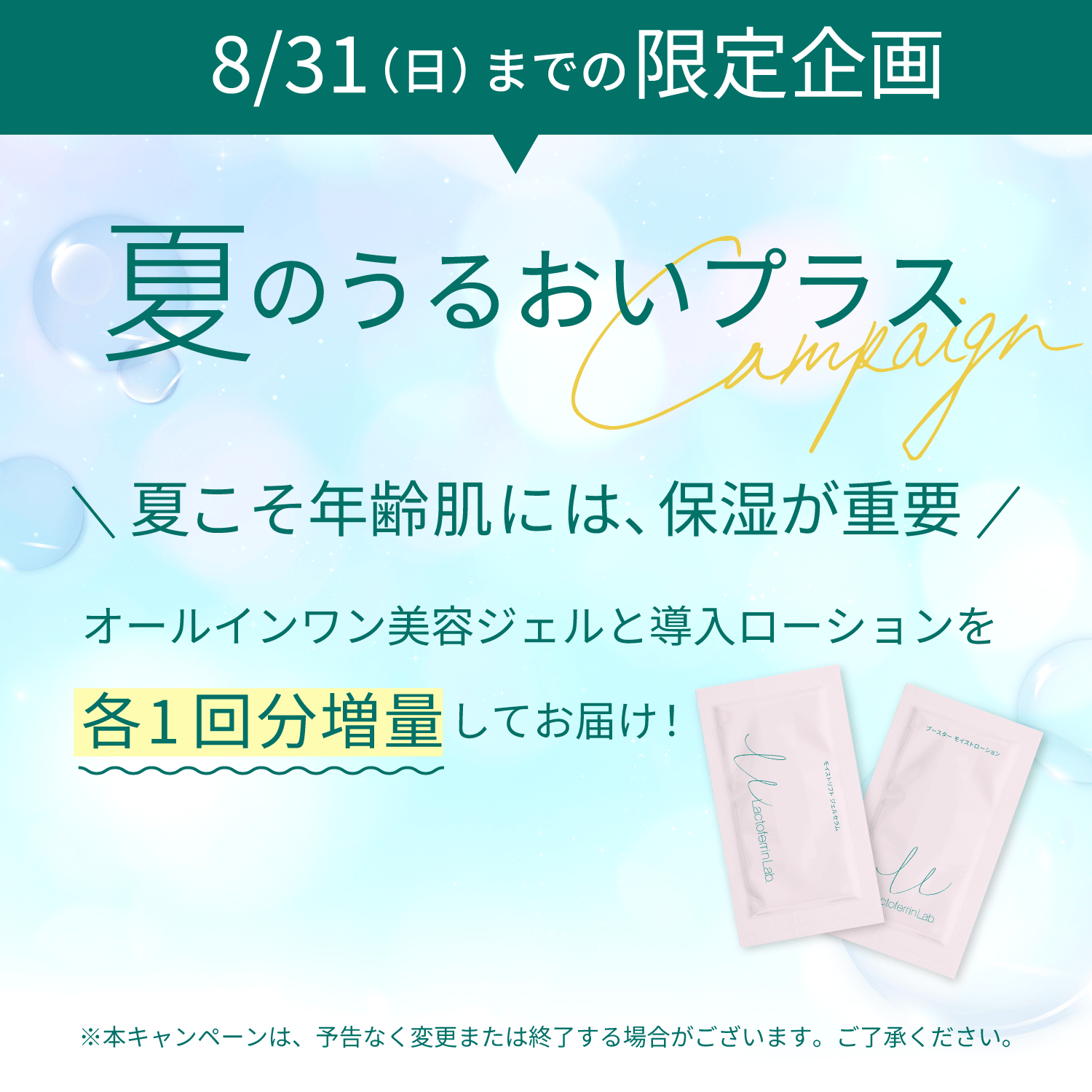 8/31までの限定企画