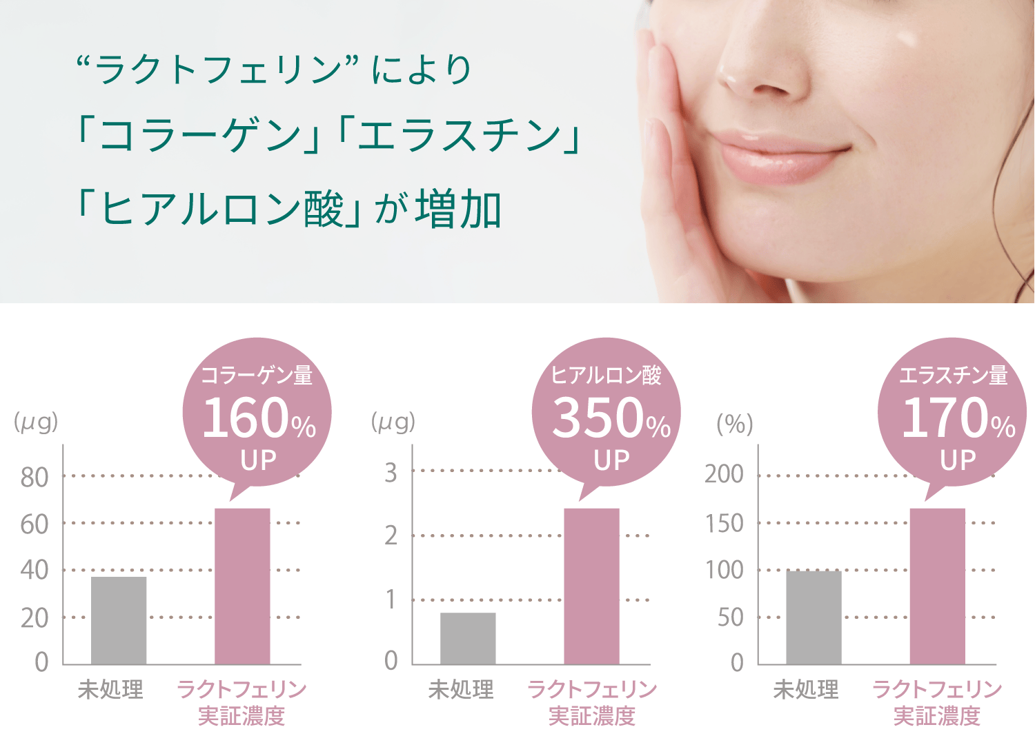 ラクトフェリンによりコラーゲン、エラスチン、ヒアルロン酸が増加