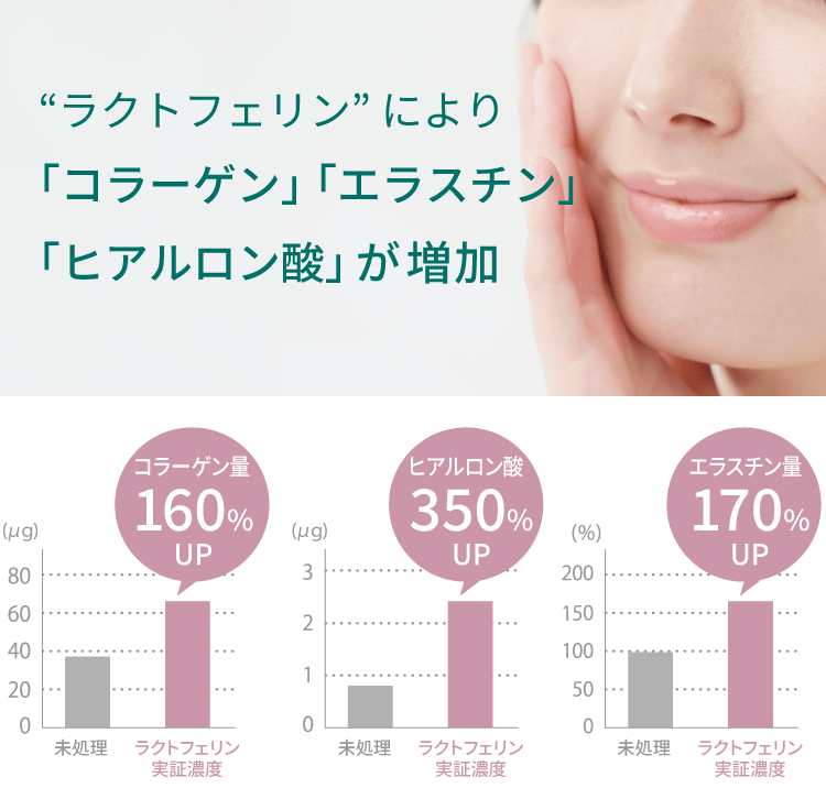 ラクトフェリンによりコラーゲン、エラスチン、ヒアルロン酸が増加