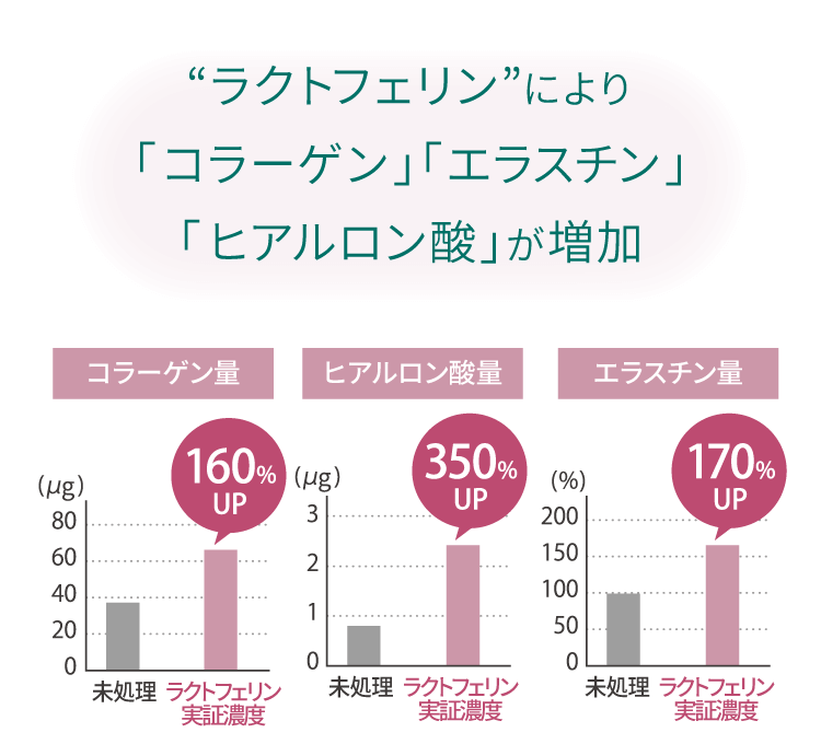 ラクトフェリンにより「コラーゲン」「エラスチン」「ヒアルロン酸」が増加