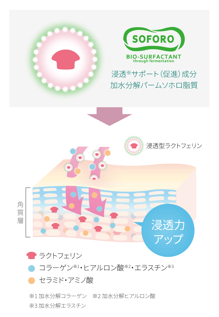 「浸透型ラクトフェリン」イメージ