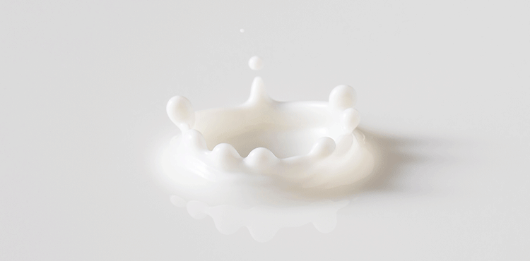 乳たんぱく質イメージ
