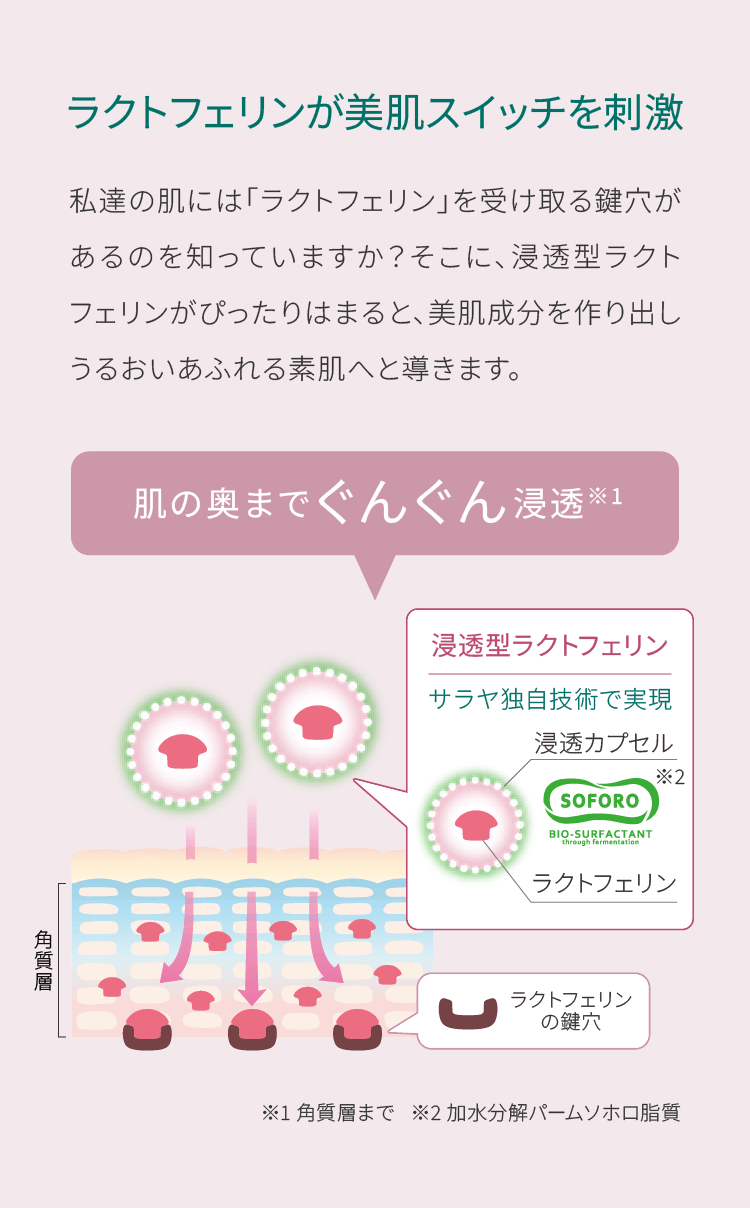 ラクトフェリンが美肌スイッチを刺激。私達の肌には「ラクトフェリン」を受け取る鍵穴があるのを知っていますか？そこに、浸透型ラクトフェリンがぴったりはまると、美肌成分を作り出しうるおいあふれる素肌へと導きます。
