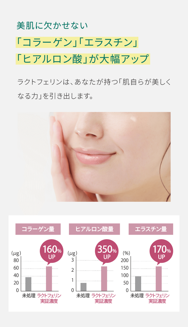ラクトフェリンにより「コラーゲン」「エラスチン」「ヒアルロン酸」が増加