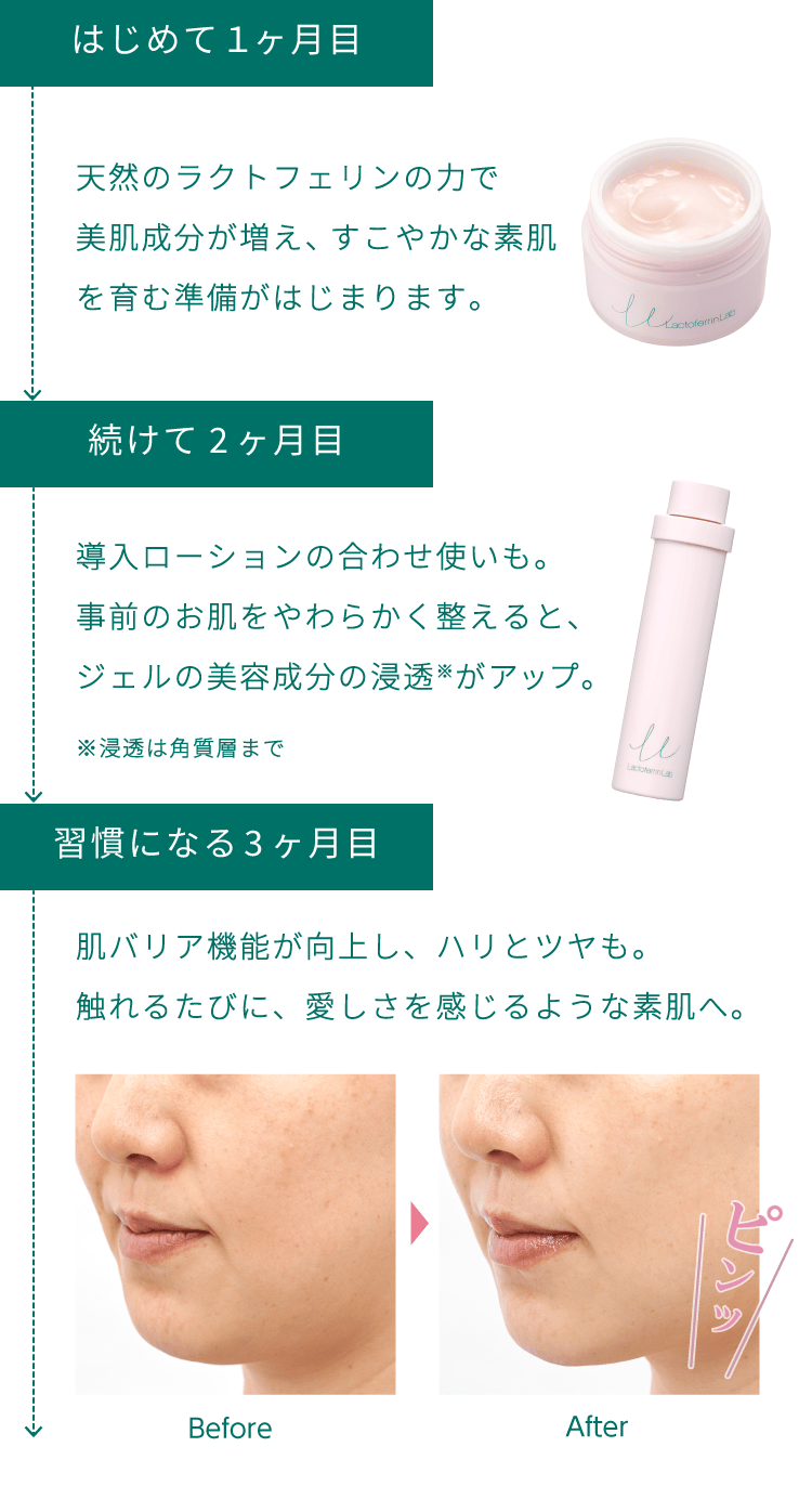 「はじめて1ヶ月目」天然のラクトフェリンの力で美肌成分が増え、すこやかな素肌を育む準備がはじまります。「続けて2ヶ月目」導入ローションの合わせ使いも。事前のお肌をやわらかく整えると、ジェルの美容成分の浸透がアップ。「習慣になる3ヶ月目」肌バリア機能が向上し、ハリとツヤも。触れるたびに、愛しさを感じるような素肌へ。