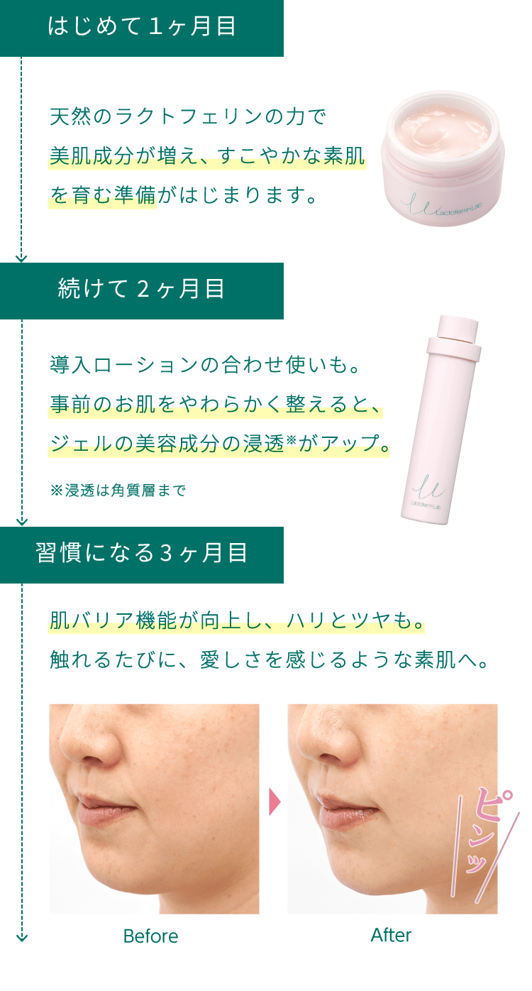 「はじめて1ヶ月目」天然のラクトフェリンの力で美肌成分が増え、すこやかな素肌を育む準備がはじまります。「続けて2ヶ月目」導入ローションの合わせ使いも。事前のお肌をやわらかく整えると、ジェルの美容成分の浸透がアップ。「習慣になる3ヶ月目」肌バリア機能が向上し、ハリとツヤも。触れるたびに、愛しさを感じるような素肌へ。