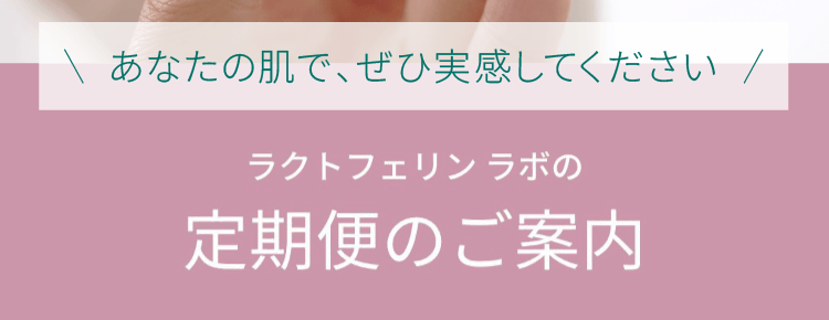 定期便のご案内