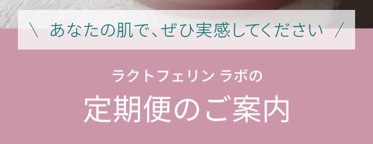 定期便のご案内