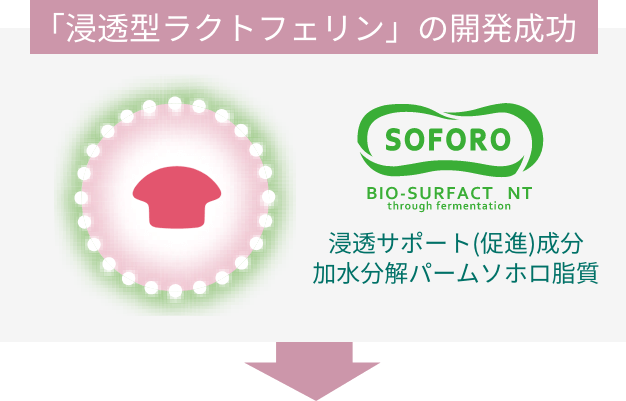 「浸透型ラクトフェリン」の開発成功