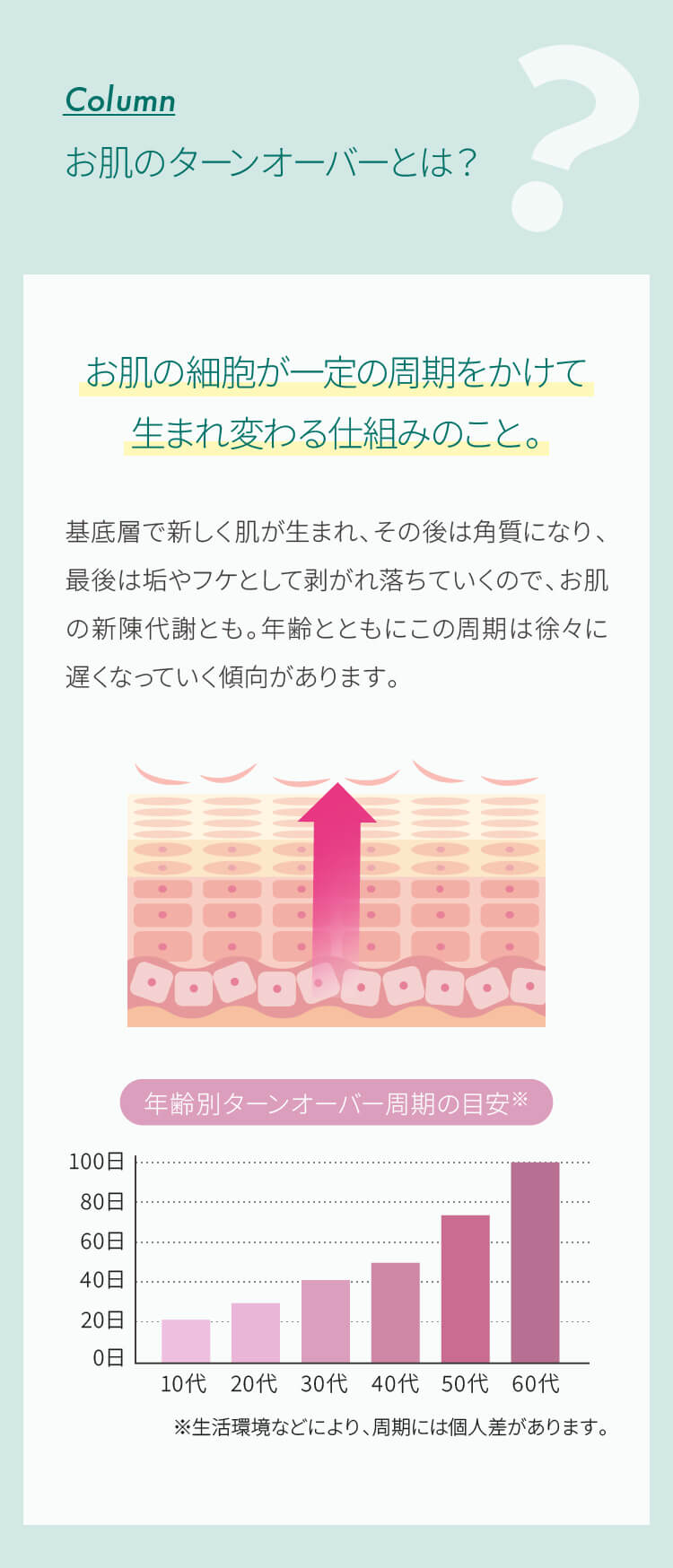 お肌のターンオーバーとは？