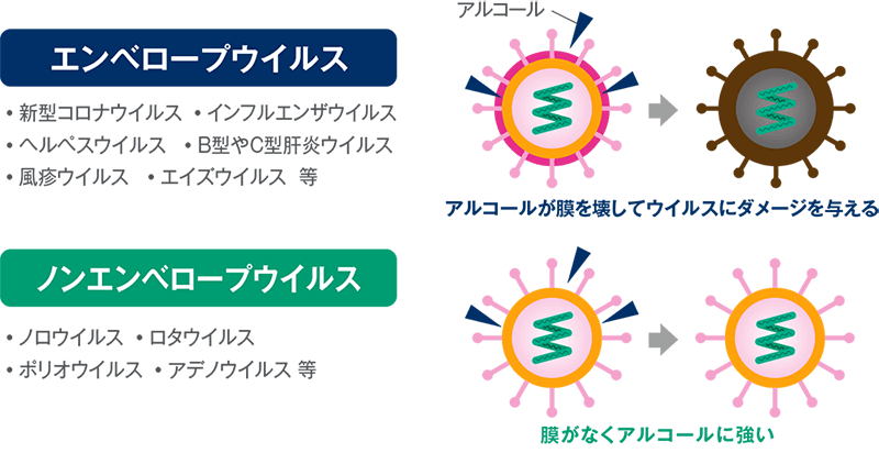 エンベロープウイルスとノンエンベロープウイルス