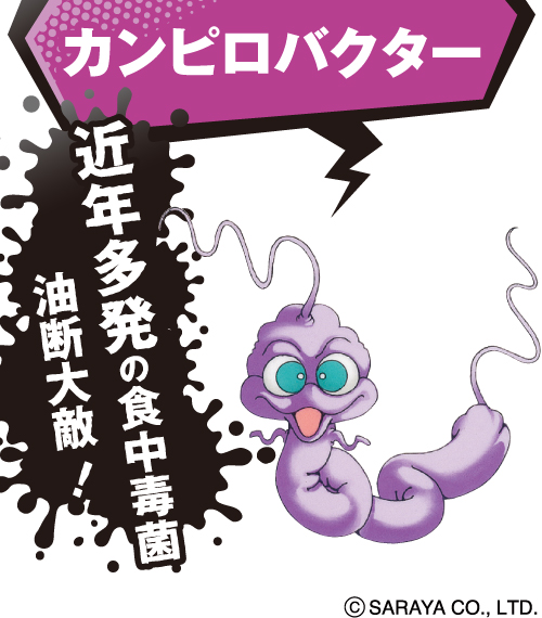 カンピロバクター
