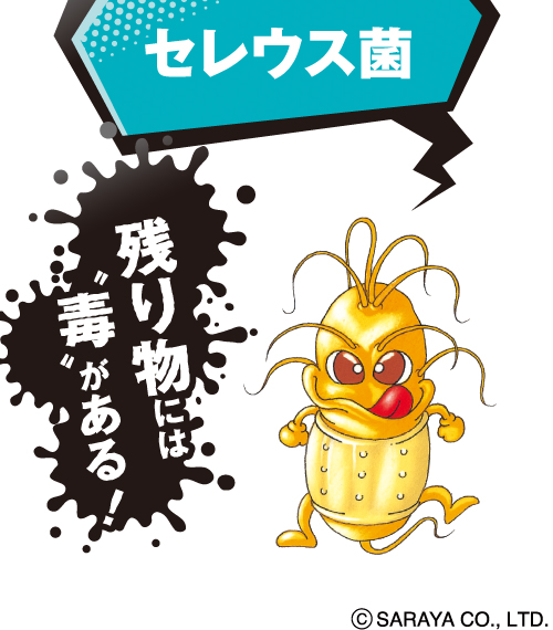 セレウス菌