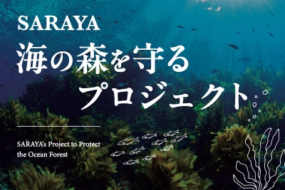 海の砂漠化に立ち向かう―サラヤの「海の森を守るプロジェクト」