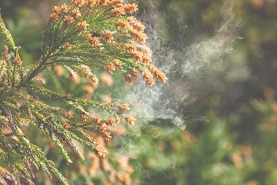 花粉シーズンの感染症予防