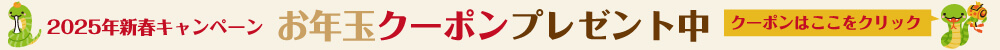 2025年新春キャンペーン！お年玉クーポンプレゼント中。2025年1月6日（月）～2025年1月31日（金）まで