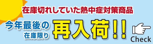 海山公社　SARAYA プラスチック手袋 E Sサイズ 100枚✖️2ケース サラヤ｜【ケース】 プラスチック手袋E Sサイズ 100枚 × 10