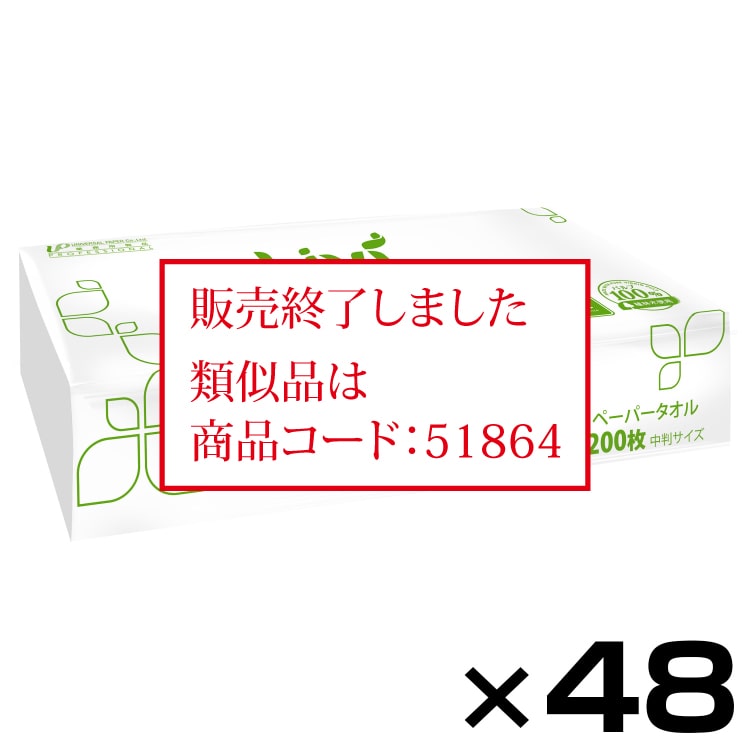 ＜終了＞【ケース】 ペーパータオル リビィ Livi エブリディ 中判サイズ 〔レギュラーサイズ〕 200枚 × 48