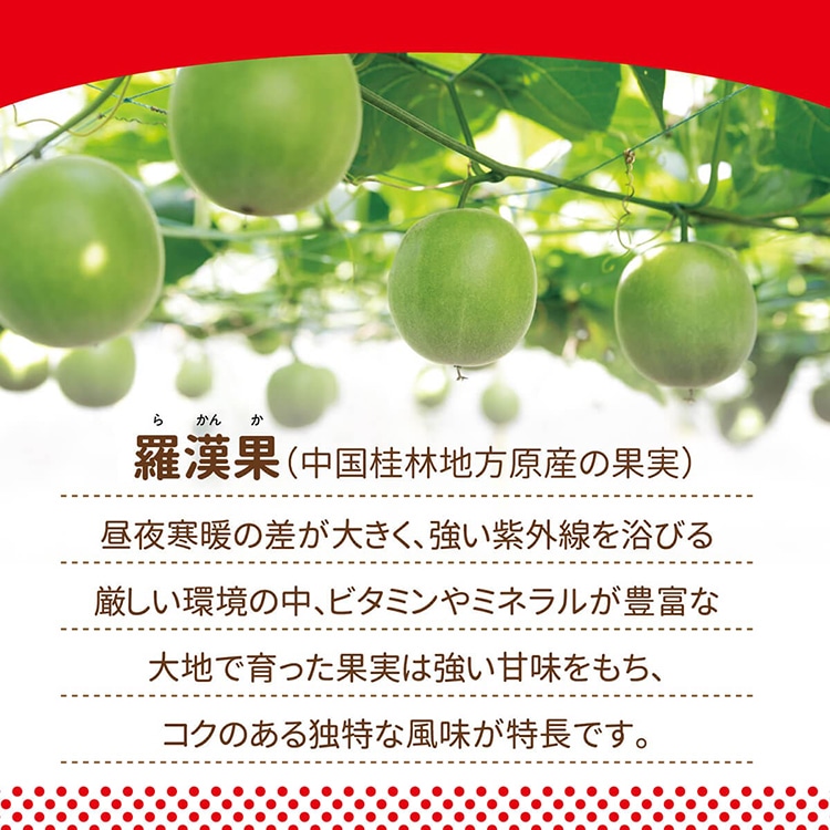 ラカントSシロップ P280g